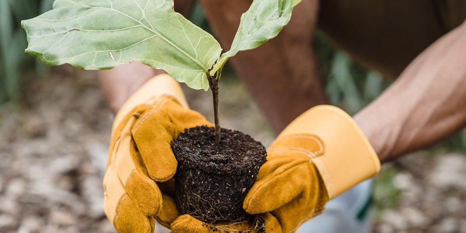 Sustainability1