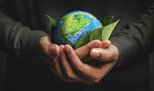 Sustainability world